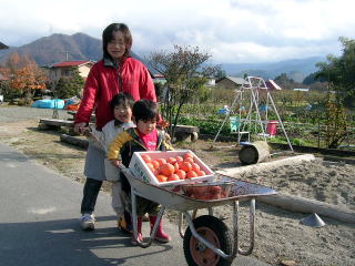 ロハス 環境 自然 低農薬 安全 安心
