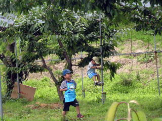 ロハス 環境 自然 低農薬 安全 安心