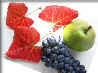 ���c�ʎ����̏H�̂�������