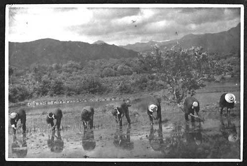 �c�A���@���Ɓ@���@���a�����@���c�ʎ���