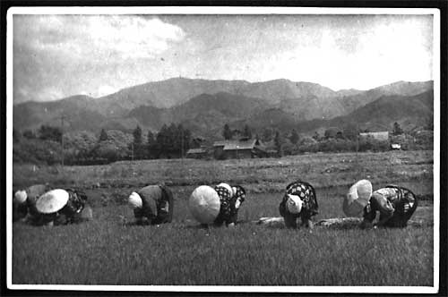 �c�A���@���a�����@���Ɓ@�ā@���c�ʎ���