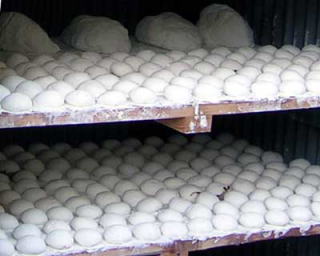 ��������̓��̉�