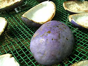 �����с@���c�ʎ���