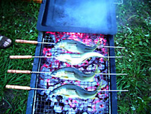 ���@����@���c�ʎ���