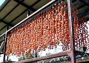 �����`�@�݂邵�`�@���c�ʎ���