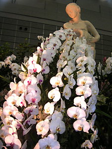 �Ƃ��ق����W�@�R�`���E�����@���