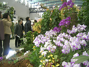 �Ƃ��ق����W�@�J�g���A�@���