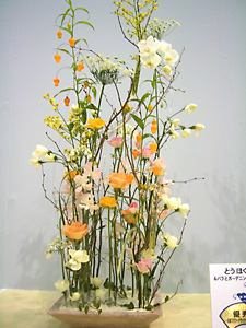 �Ƃ��ق����W�@�A�����W�����g�@���